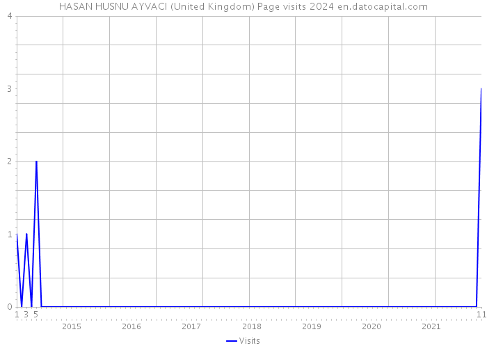 HASAN HUSNU AYVACI (United Kingdom) Page visits 2024 