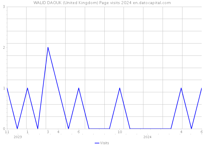 WALID DAOUK (United Kingdom) Page visits 2024 