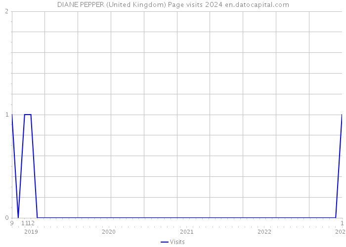 DIANE PEPPER (United Kingdom) Page visits 2024 