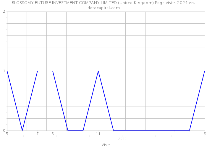 BLOSSOMY FUTURE INVESTMENT COMPANY LIMITED (United Kingdom) Page visits 2024 