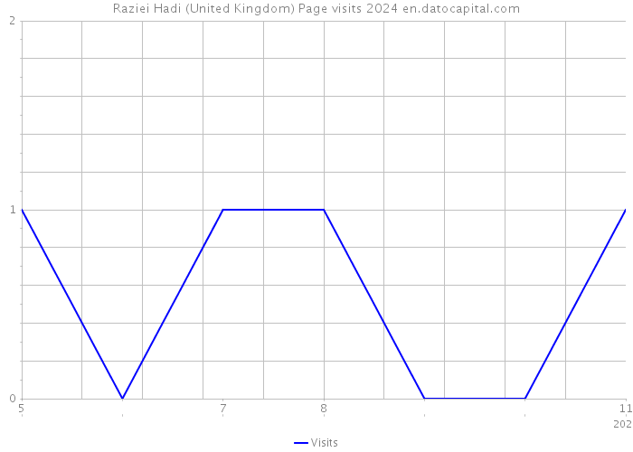 Raziei Hadi (United Kingdom) Page visits 2024 