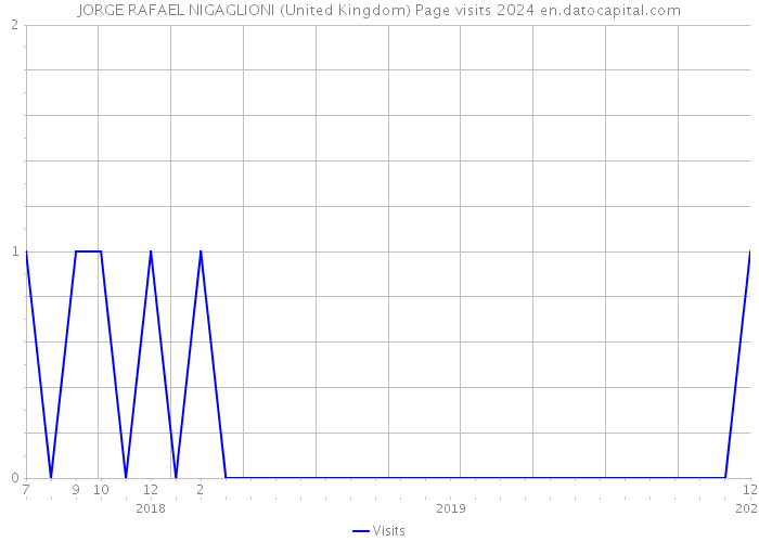 JORGE RAFAEL NIGAGLIONI (United Kingdom) Page visits 2024 