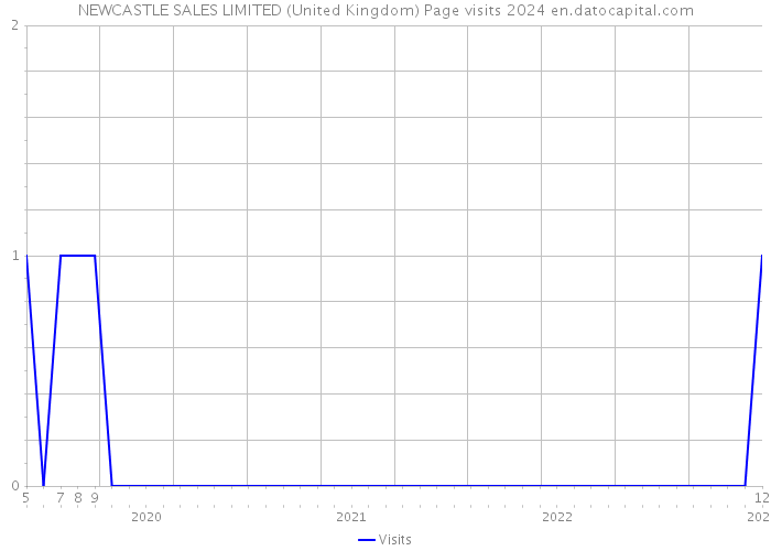 NEWCASTLE SALES LIMITED (United Kingdom) Page visits 2024 