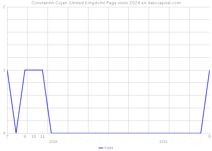 Constantin Cojan (United Kingdom) Page visits 2024 