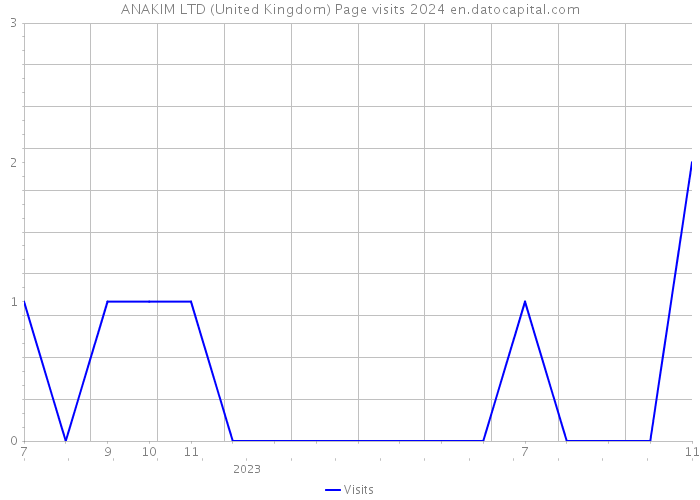 ANAKIM LTD (United Kingdom) Page visits 2024 