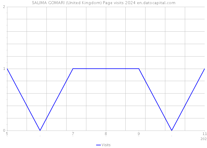 SALIMA GOMARI (United Kingdom) Page visits 2024 