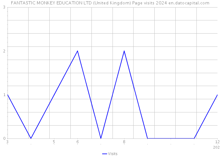 FANTASTIC MONKEY EDUCATION LTD (United Kingdom) Page visits 2024 