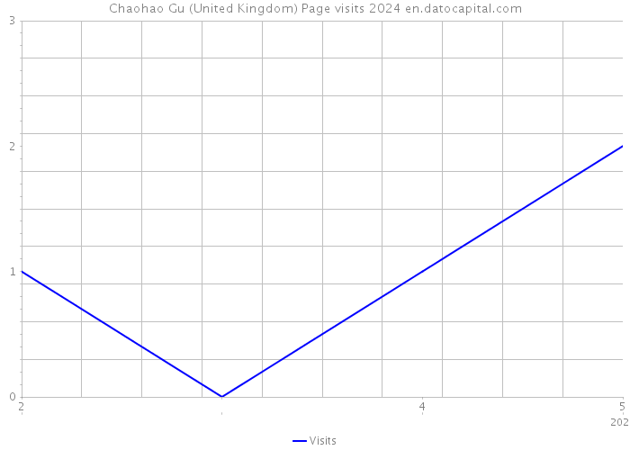 Chaohao Gu (United Kingdom) Page visits 2024 
