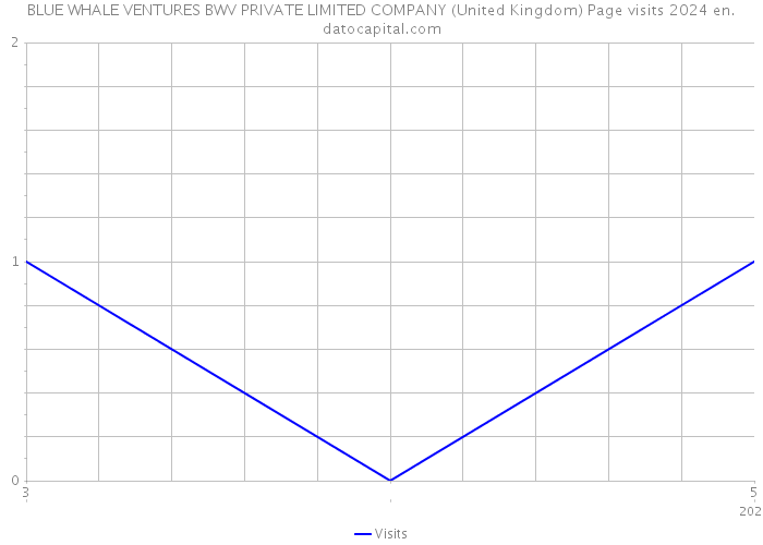 BLUE WHALE VENTURES BWV PRIVATE LIMITED COMPANY (United Kingdom) Page visits 2024 