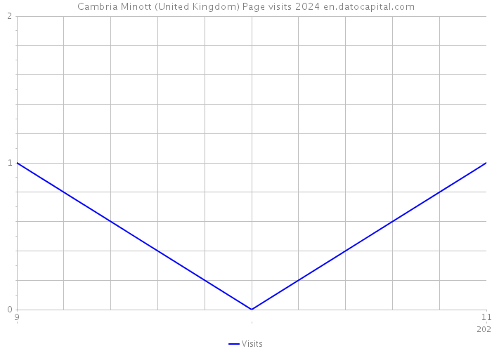 Cambria Minott (United Kingdom) Page visits 2024 