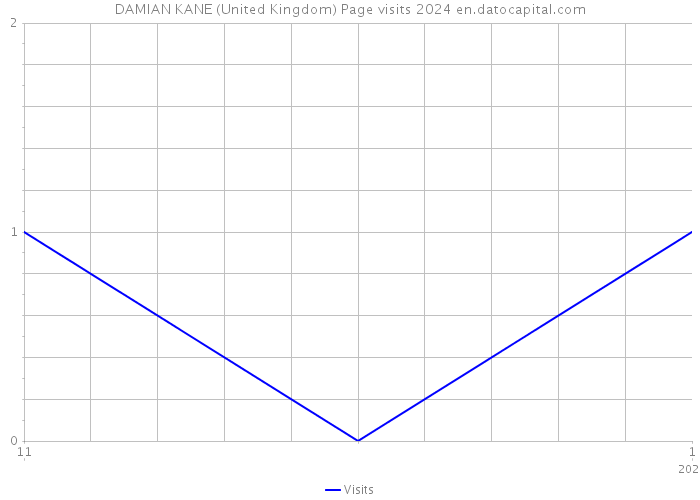 DAMIAN KANE (United Kingdom) Page visits 2024 