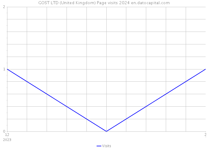 GOST LTD (United Kingdom) Page visits 2024 