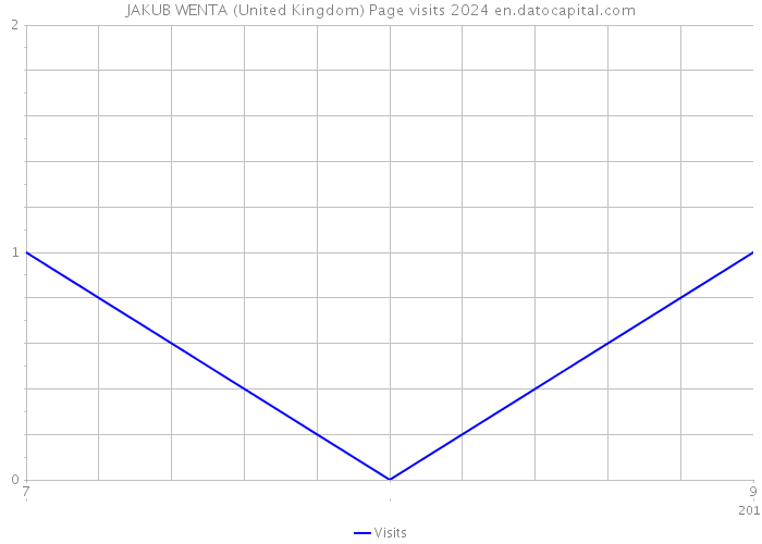 JAKUB WENTA (United Kingdom) Page visits 2024 