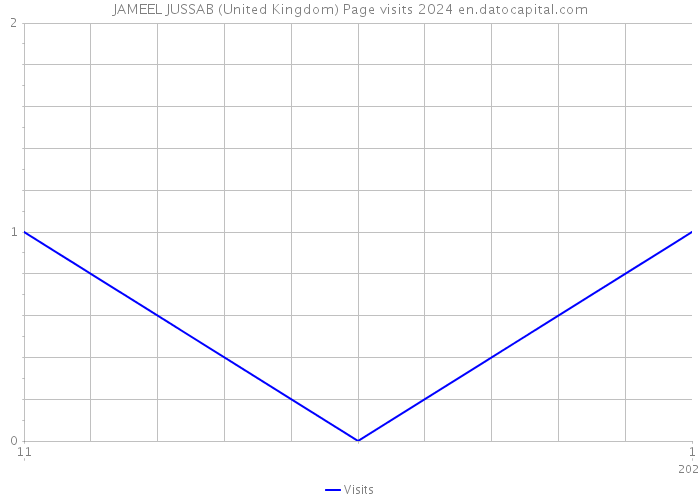 JAMEEL JUSSAB (United Kingdom) Page visits 2024 
