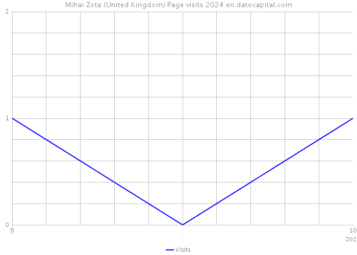 Mihai Zota (United Kingdom) Page visits 2024 
