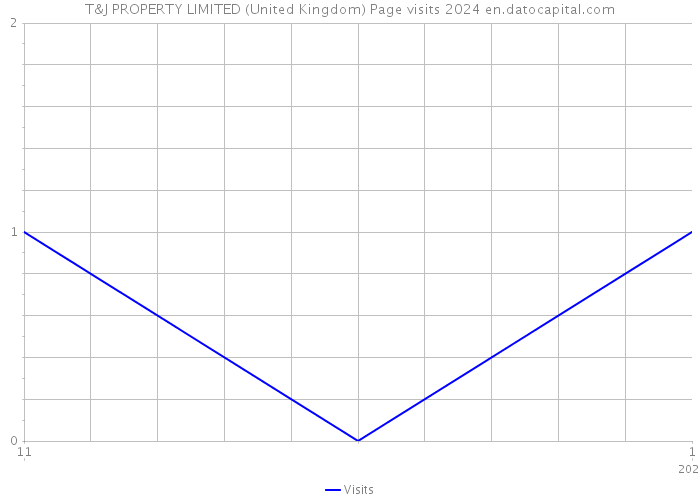 T&J PROPERTY LIMITED (United Kingdom) Page visits 2024 