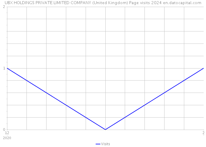 UBX HOLDINGS PRIVATE LIMITED COMPANY (United Kingdom) Page visits 2024 