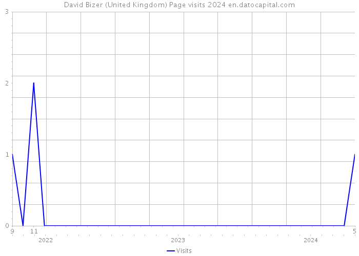 David Bizer (United Kingdom) Page visits 2024 