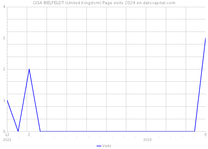 GISA BIELFELDT (United Kingdom) Page visits 2024 