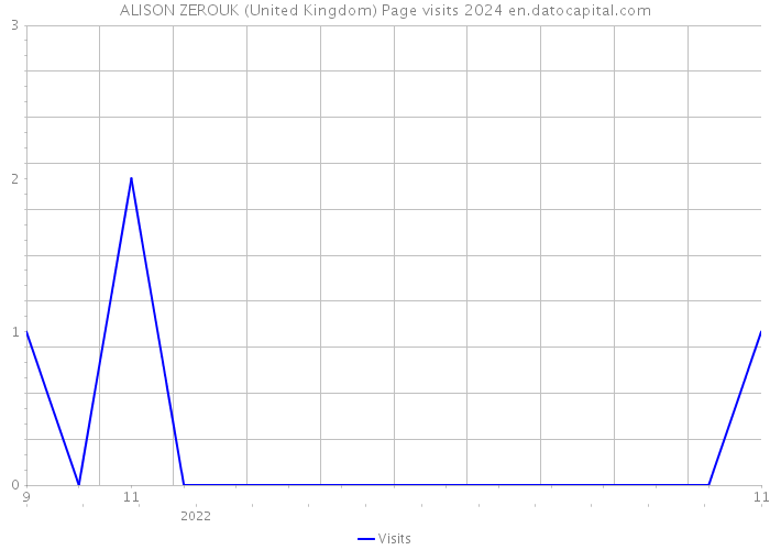 ALISON ZEROUK (United Kingdom) Page visits 2024 