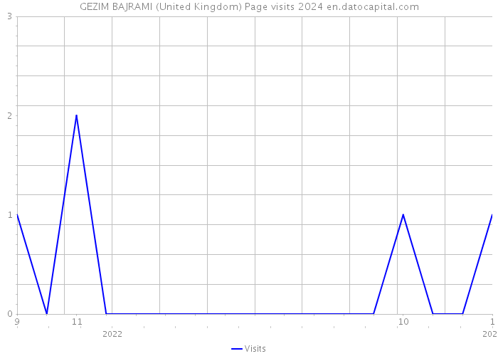 GEZIM BAJRAMI (United Kingdom) Page visits 2024 