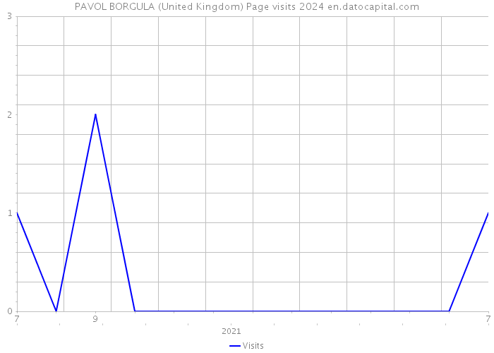 PAVOL BORGULA (United Kingdom) Page visits 2024 