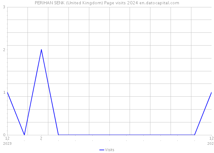 PERIHAN SENK (United Kingdom) Page visits 2024 