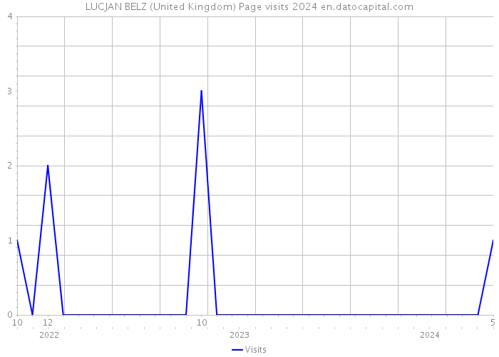 LUCJAN BELZ (United Kingdom) Page visits 2024 