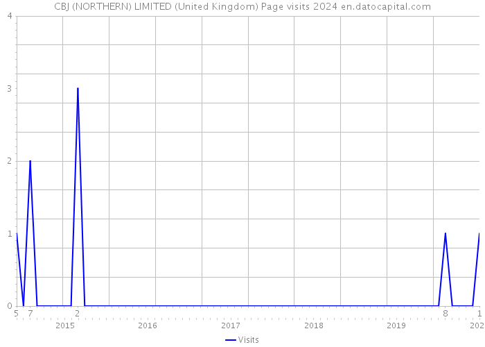 CBJ (NORTHERN) LIMITED (United Kingdom) Page visits 2024 