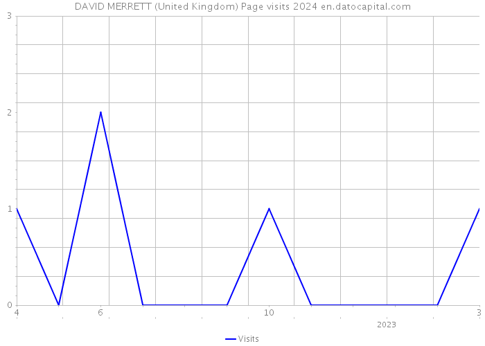DAVID MERRETT (United Kingdom) Page visits 2024 