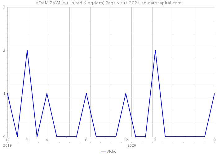 ADAM ZAWILA (United Kingdom) Page visits 2024 