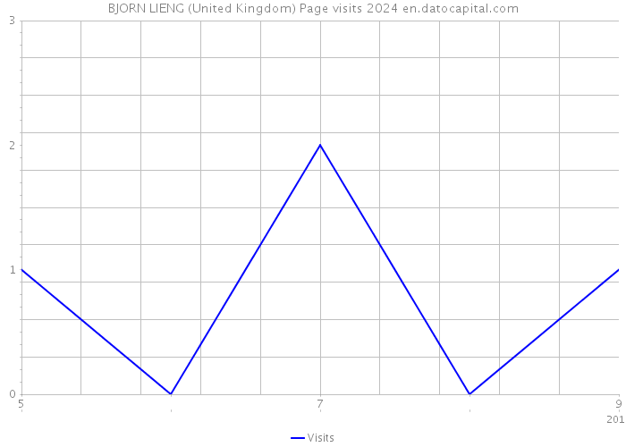 BJORN LIENG (United Kingdom) Page visits 2024 