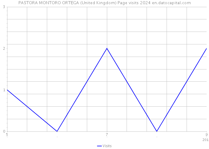 PASTORA MONTORO ORTEGA (United Kingdom) Page visits 2024 