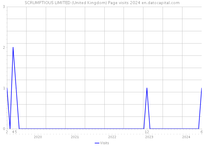 SCRUMPTIOUS LIMITED (United Kingdom) Page visits 2024 