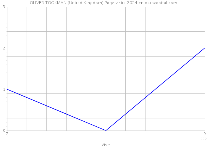 OLIVER TOOKMAN (United Kingdom) Page visits 2024 