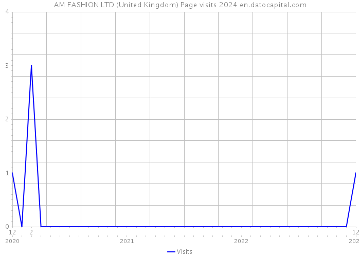 AM FASHION LTD (United Kingdom) Page visits 2024 