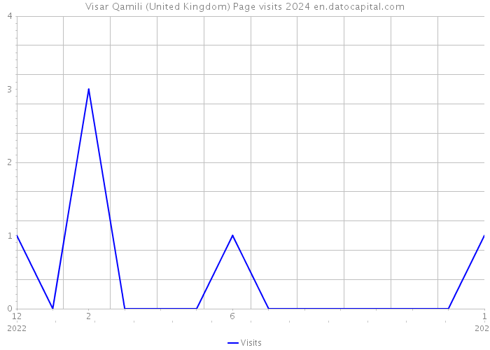 Visar Qamili (United Kingdom) Page visits 2024 