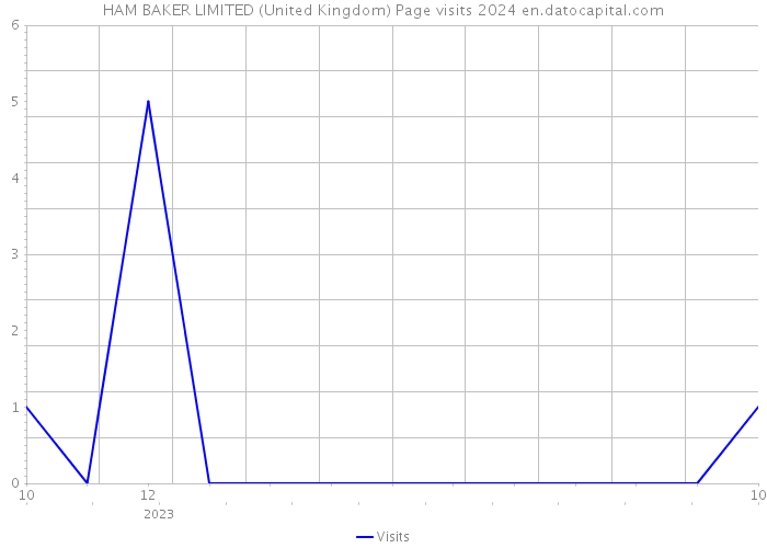 HAM BAKER LIMITED (United Kingdom) Page visits 2024 