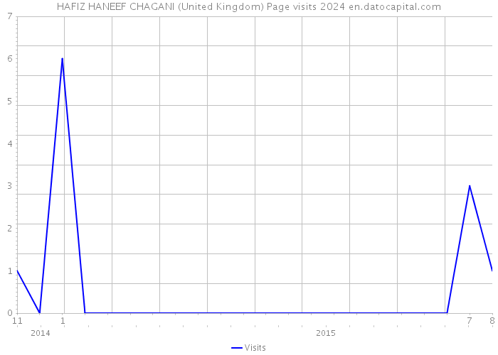 HAFIZ HANEEF CHAGANI (United Kingdom) Page visits 2024 