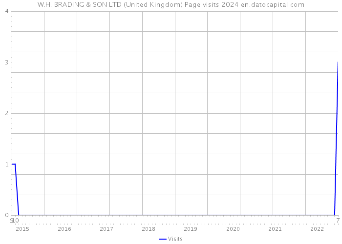 W.H. BRADING & SON LTD (United Kingdom) Page visits 2024 