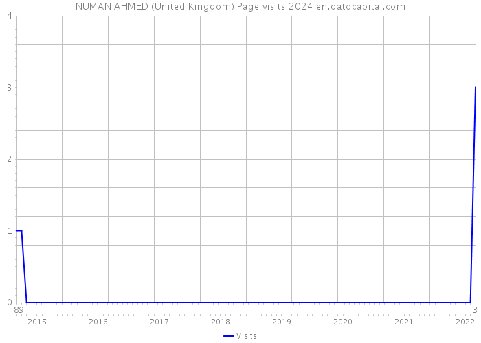 NUMAN AHMED (United Kingdom) Page visits 2024 