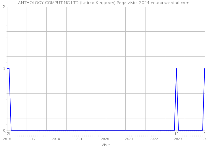 ANTHOLOGY COMPUTING LTD (United Kingdom) Page visits 2024 