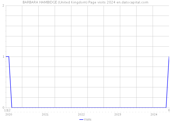 BARBARA HAMBIDGE (United Kingdom) Page visits 2024 