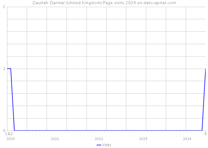 Ziaullah Ziarmal (United Kingdom) Page visits 2024 