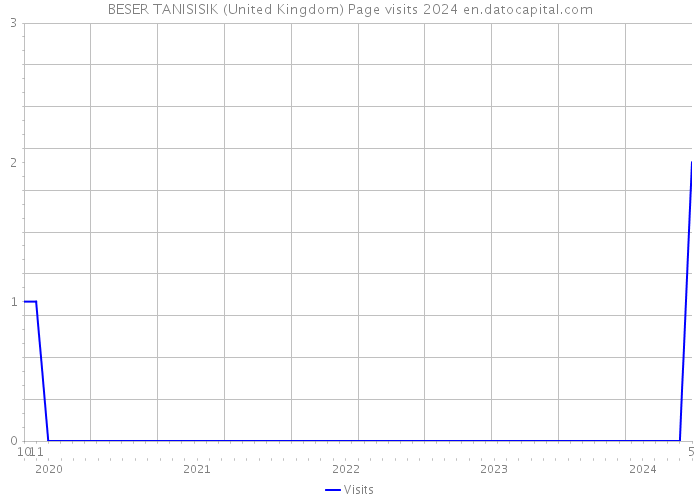 BESER TANISISIK (United Kingdom) Page visits 2024 