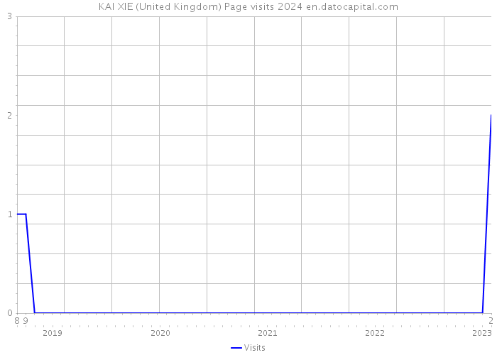 KAI XIE (United Kingdom) Page visits 2024 