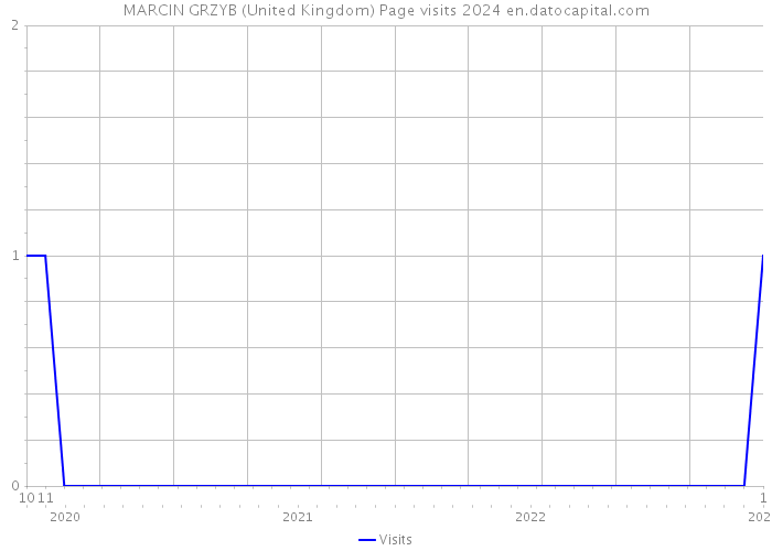 MARCIN GRZYB (United Kingdom) Page visits 2024 