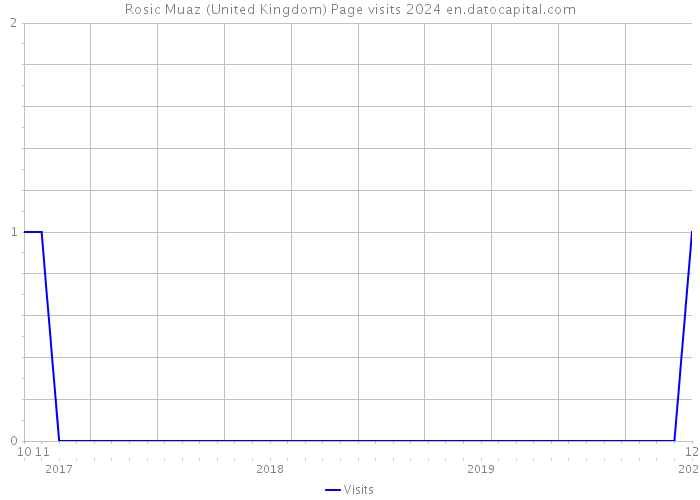 Rosic Muaz (United Kingdom) Page visits 2024 