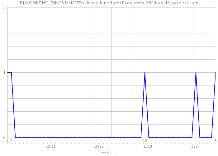 RJ MOBILE HOLDINGS LIMITED (United Kingdom) Page visits 2024 