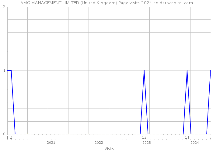 AMG MANAGEMENT LIMITED (United Kingdom) Page visits 2024 